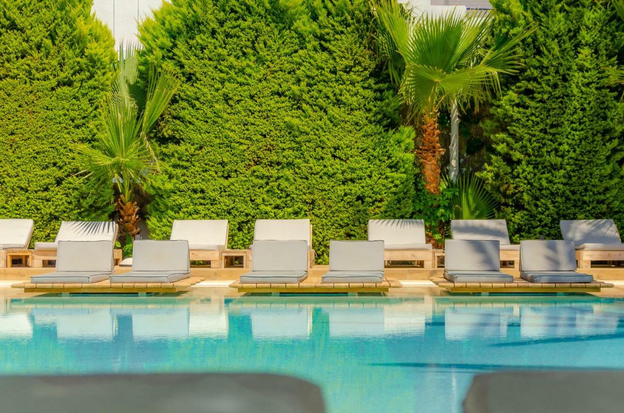 Drossia Palms Hotel And Nisos Beach Suites Malia Dış mekan fotoğraf